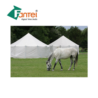 650gsm পলিয়েস্টার Tarp ফ্যাব্রিক শিখা retardant জলরোধী কাস্টমাইজড